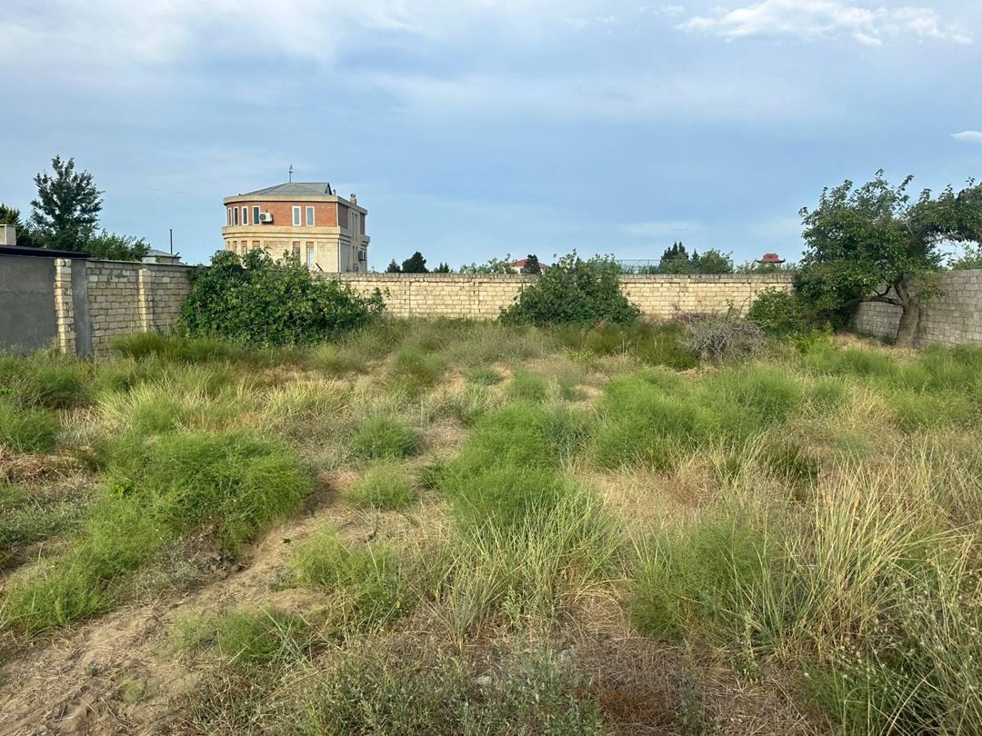 Satılır torpaq 8 sot — Torpaq, Bakı (6)