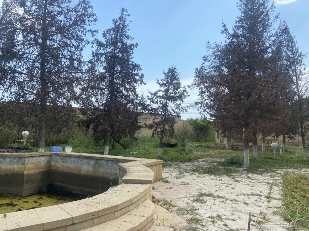 Satılır torpaq 9.2 sot — Torpaq, Bakı (2)