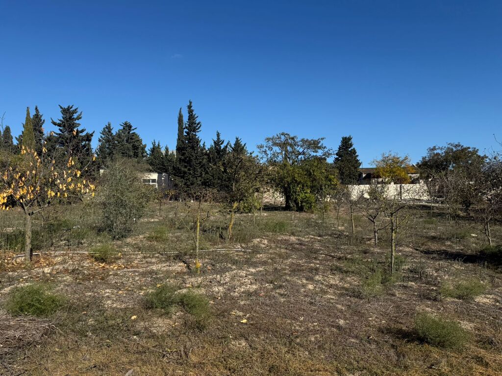 Satılır torpaq 30 sot — Torpaq, Bakı (8)