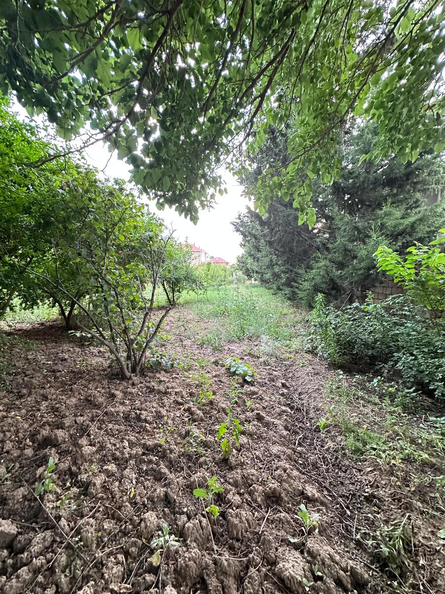 Satılır torpaq 5 sot — Torpaq, Bakı (5)