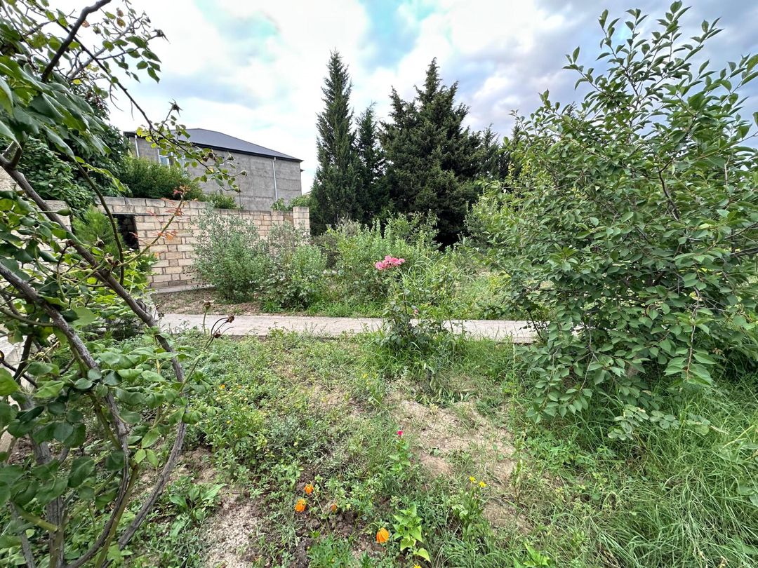 Satılır torpaq 5 sot — Torpaq, Bakı (8)
