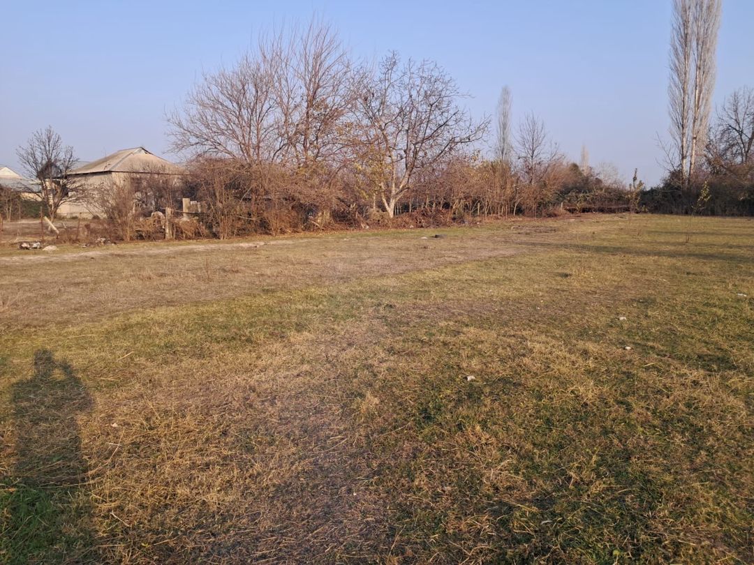 Satılır torpaq 25 sot — Torpaq, Göyçay (4)