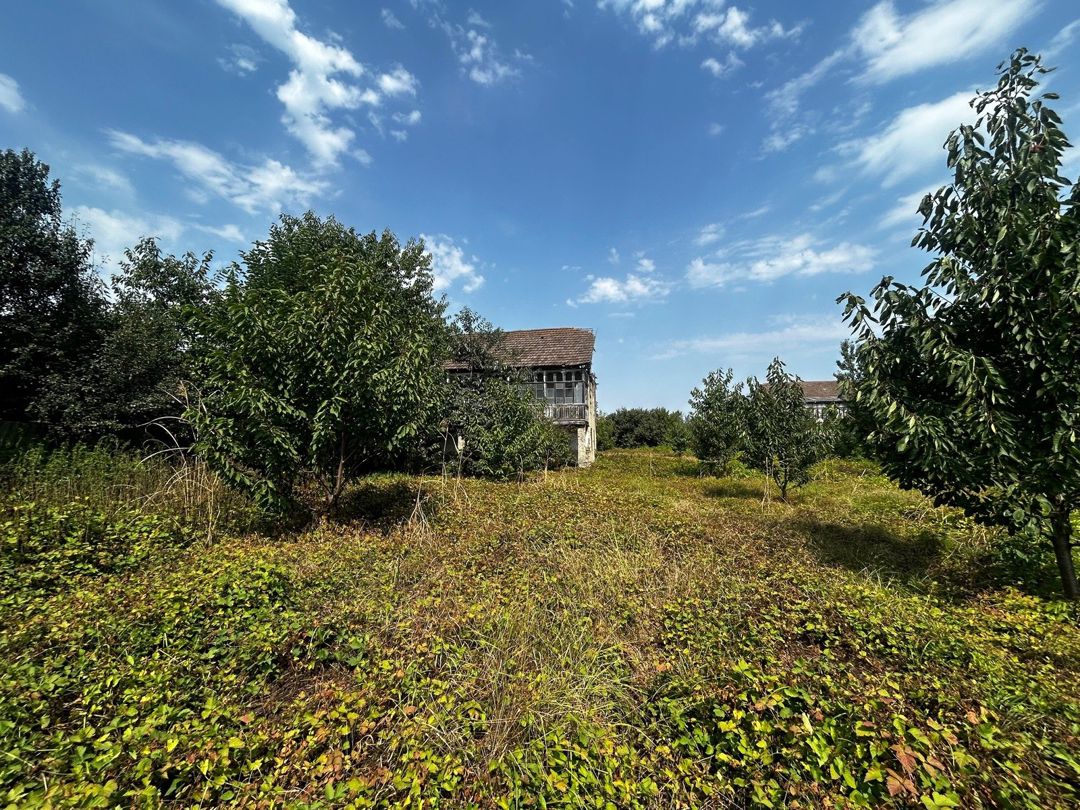 Satılır 5 otaqlı həyət evi/bağ evi 83.6 m² — Ev, villa, Quba (12)