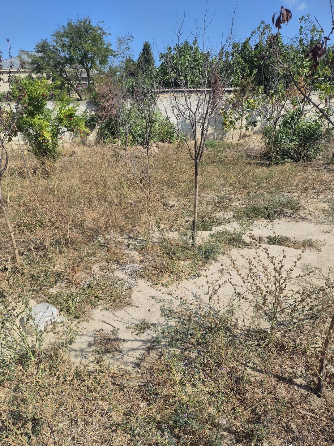 Satılır torpaq 3 sot — Torpaq, Bakı (5)
