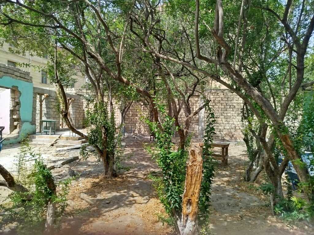 Satılır torpaq 4.2 sot — Torpaq, Bakı (4)