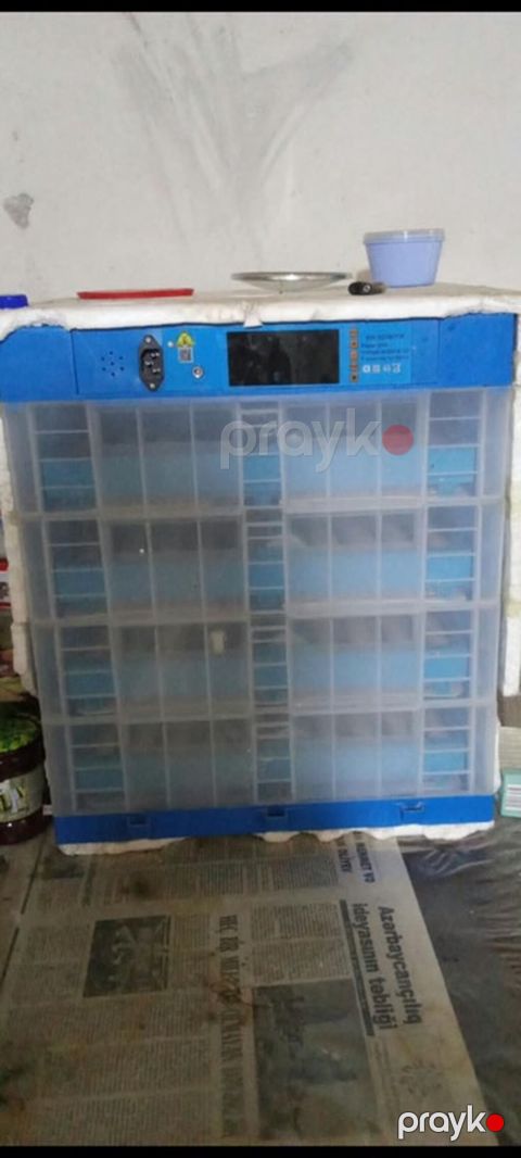 300 yumurta, Bütün növ quşlar üçün — Bakı