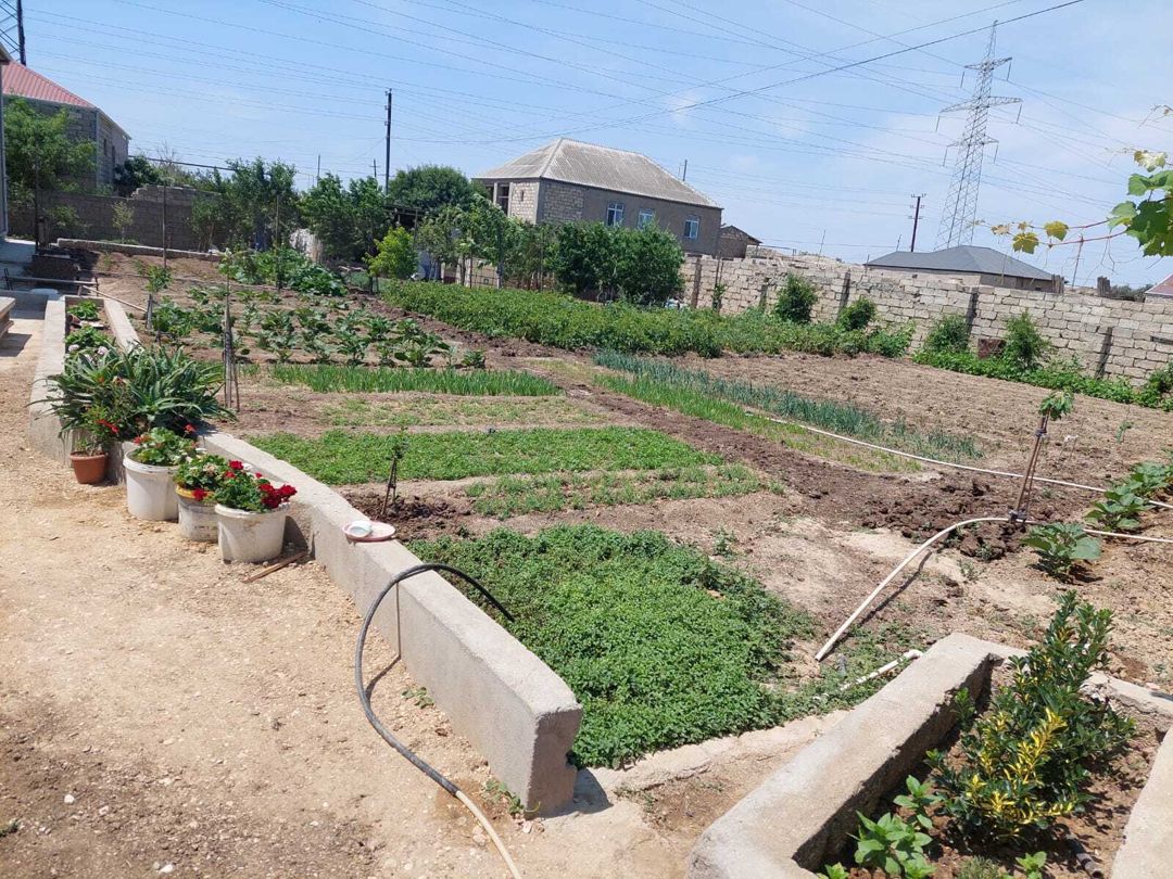 Satılır 3 otaqlı həyət evi/bağ evi 110 m² — Ev, villa, Bakı (9)