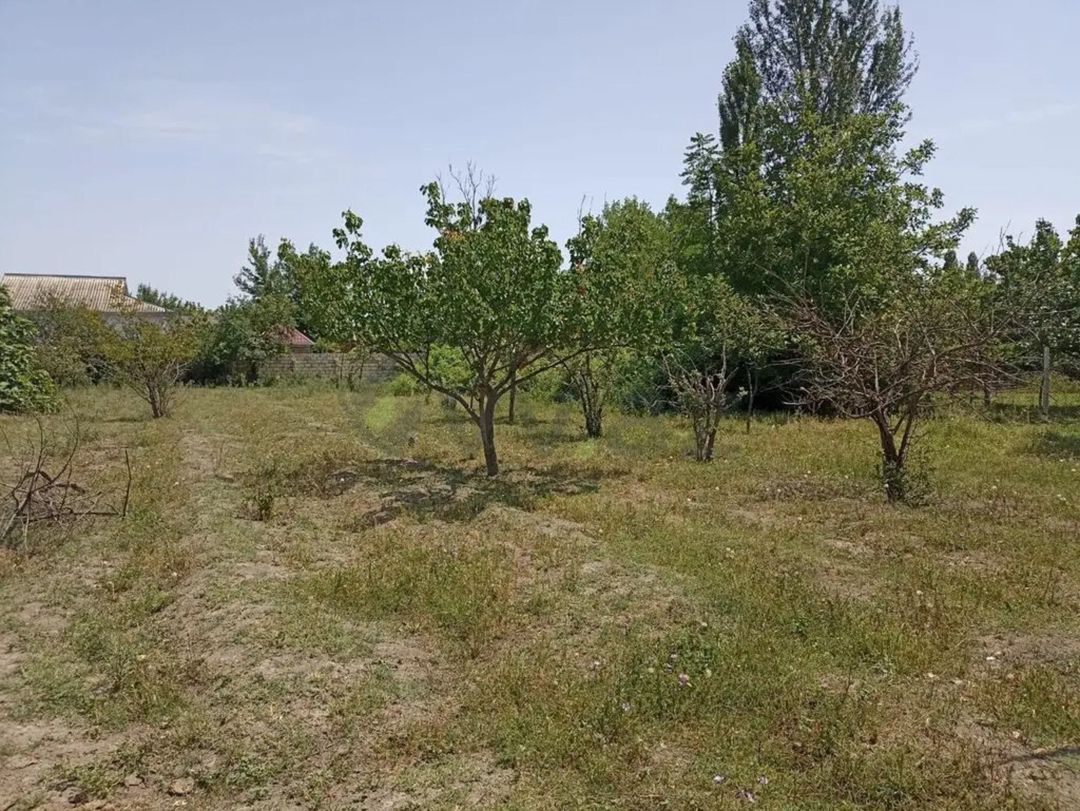 Satılır torpaq 26 sot — Torpaq, Bakı (2)