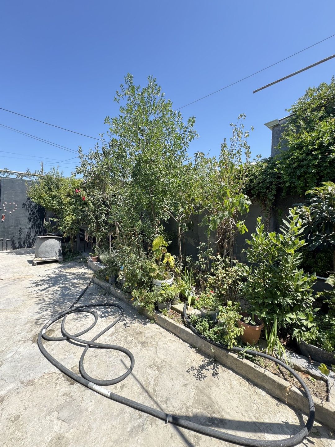 Satılır 3 otaqlı həyət evi/bağ evi 75 m² — Ev, villa, Bakı (7)