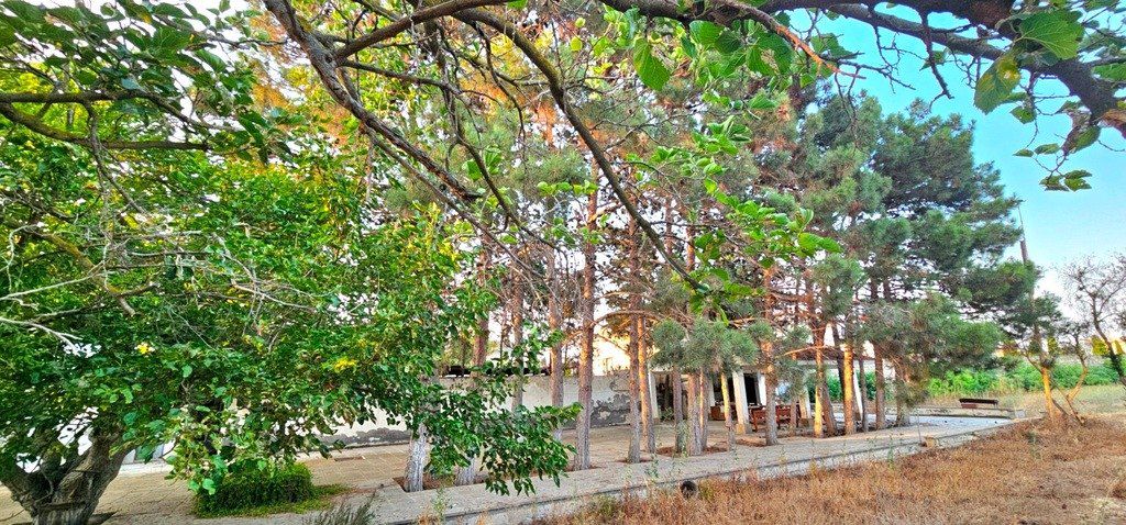 Satılır torpaq 25 sot — Torpaq, Bakı (3)