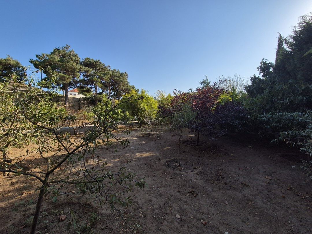 Satılır torpaq 50 sot — Torpaq, Bakı (6)