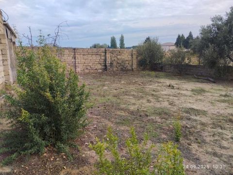 Satılır torpaq 8 sot — Bakı
