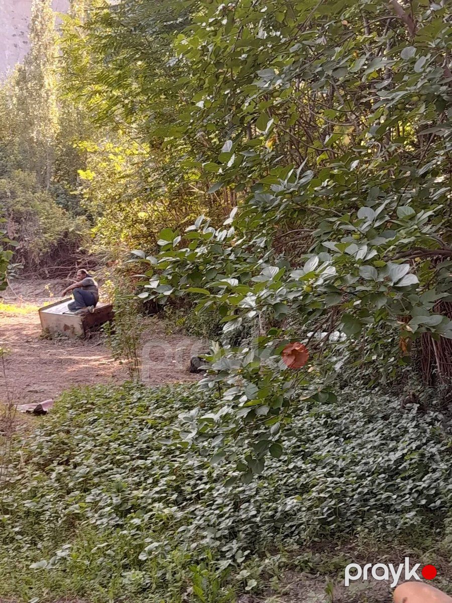Bağ evi, Dəniz yolu 7-ci küç — Ev, villa, Mingəçevir (4)