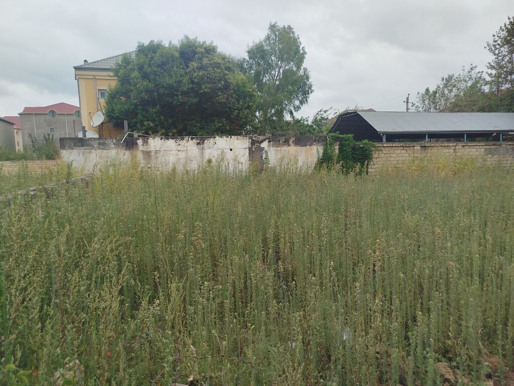 2 sot, Tikinti, Makler, Kupça (Çıxarış) — Torpaq, Fatmayı (5)
