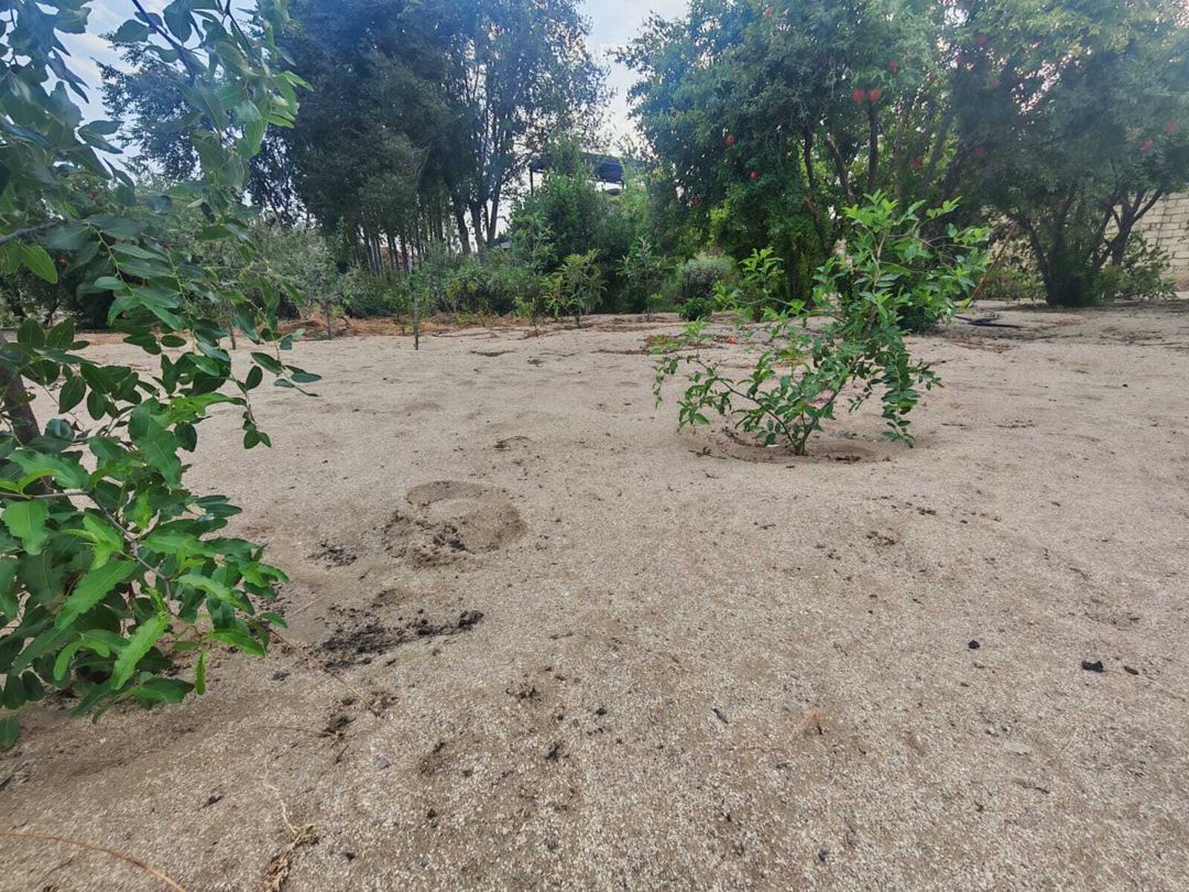 Satılır torpaq 3 sot — Torpaq, Bakı (3)