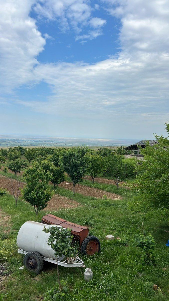 100000 sot torpaq sahəsi, Şabran r — Torpaq, Şabran (2)
