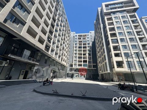 3 otaqlı, Yeni tikili, 80 kv. m