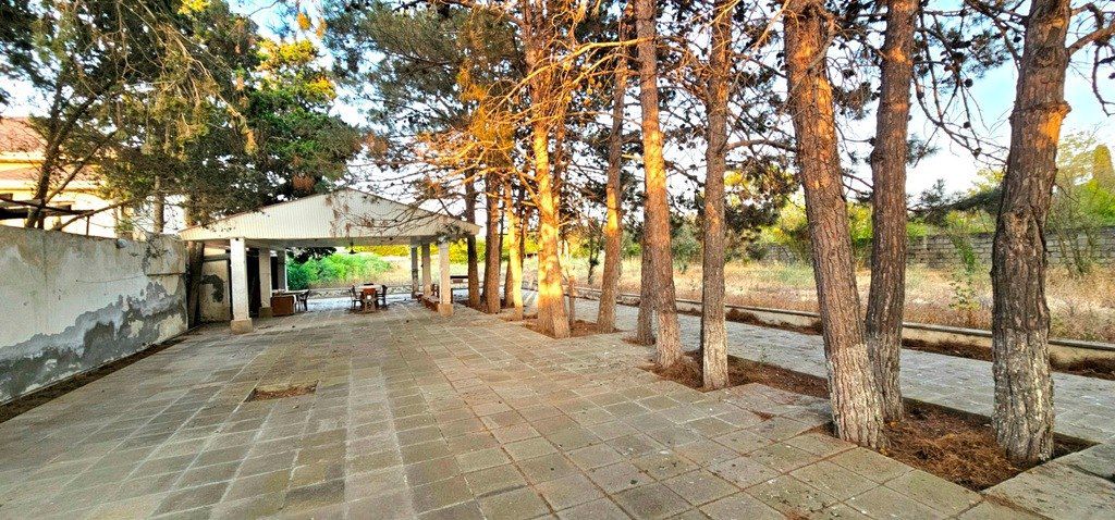 Satılır torpaq 25 sot — Torpaq, Bakı (4)