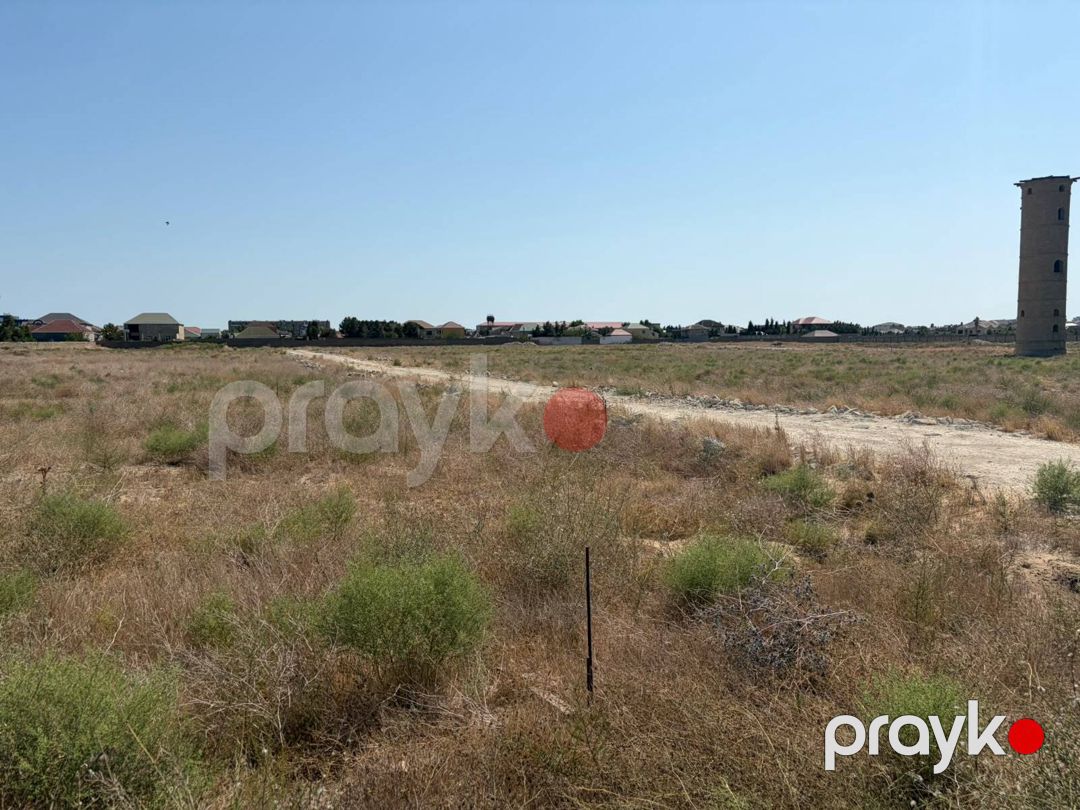 Satılır torpaq 955 sot — Torpaq, Bakı (4)