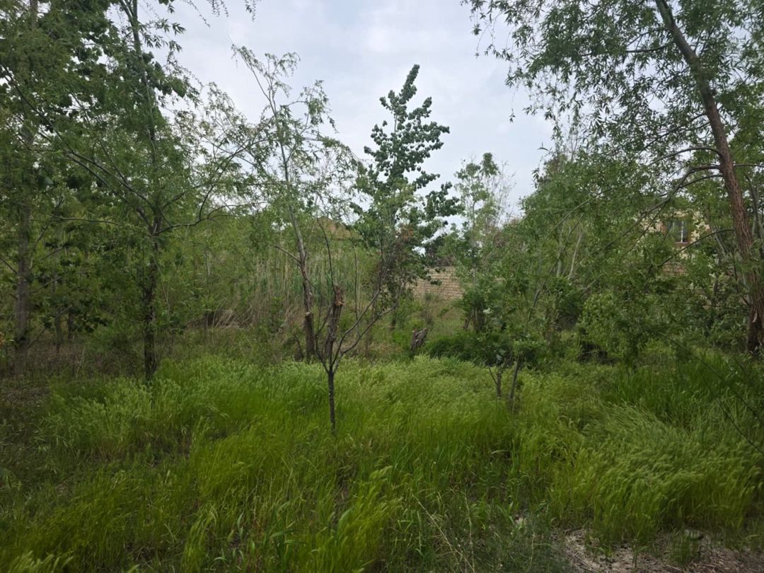 Satılır torpaq 4 sot — Torpaq, Bakı (2)