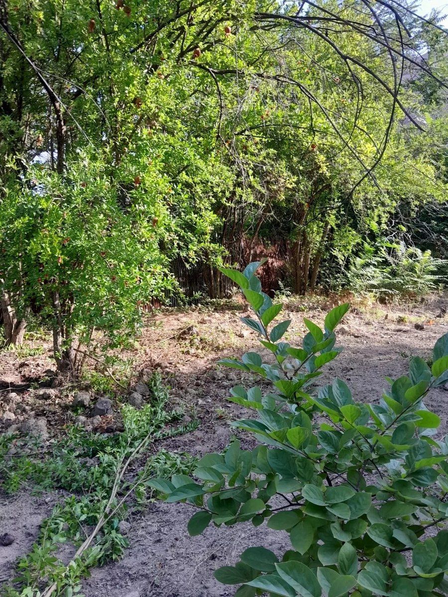 Bağ evi, Dəniz yolu 7-ci küç — Ev, villa, Mingəçevir (3)