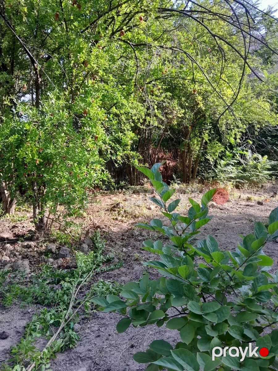 Bağ evi, Dəniz yolu 7-ci küç — Ev, villa, Mingəçevir (3)
