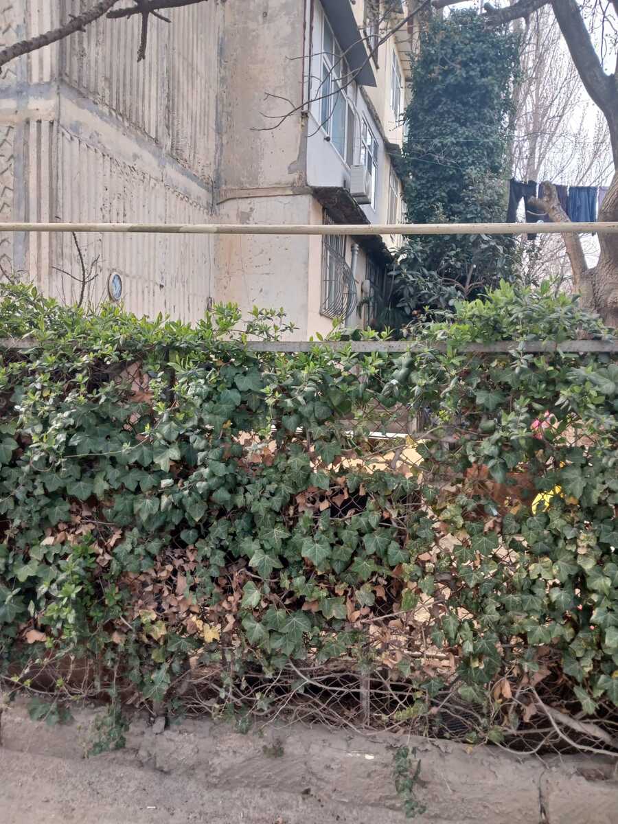 Satılır 2 otaqlı köhnə tikili 56 m² — Mənzil, Bakı (6)