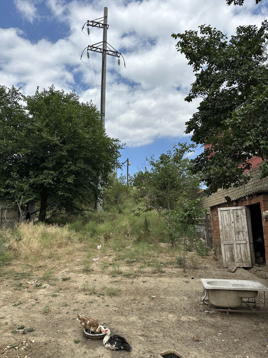 Satılır torpaq 6 sot — Torpaq, Bakı (11)