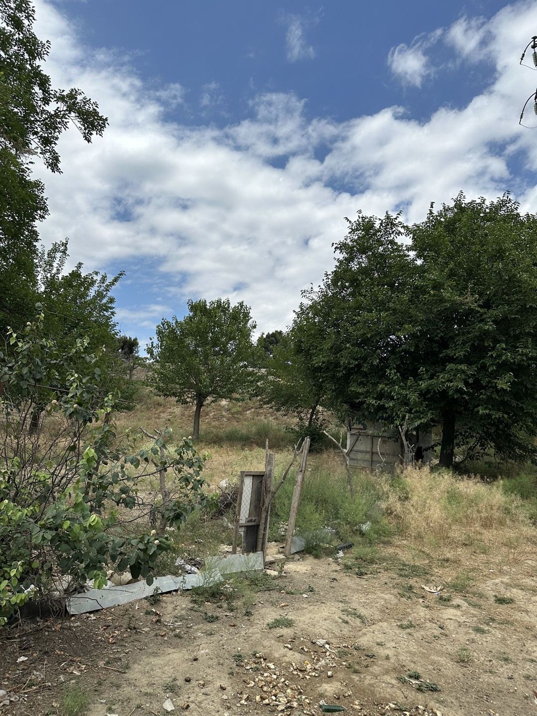 Satılır torpaq 6 sot — Torpaq, Bakı (9)