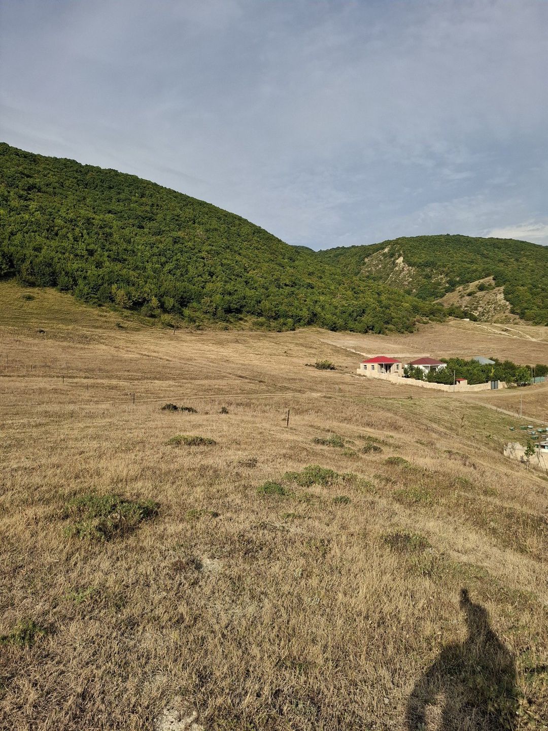 12 sot torpaq sahəsi, Şamaxı r — Torpaq, Şamaxı (3)