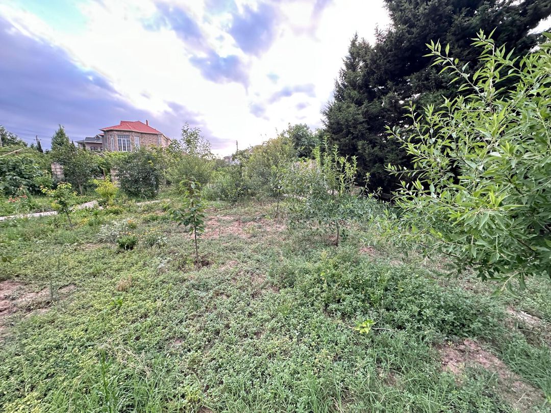Satılır torpaq 5 sot — Torpaq, Bakı (7)