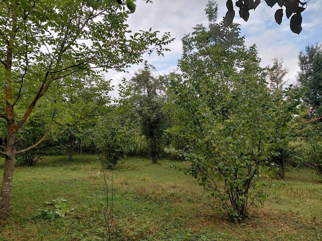 Satılır torpaq 29 sot — Torpaq, Quba (6)