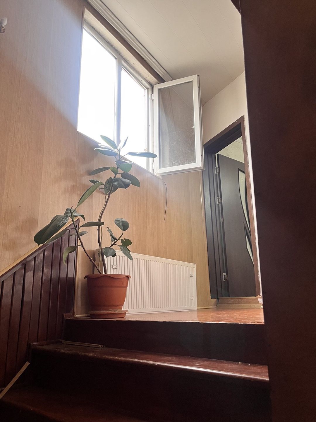 Satılır 4 otaqlı həyət evi/bağ evi 110 m² — Ev, villa, Bakı (10)