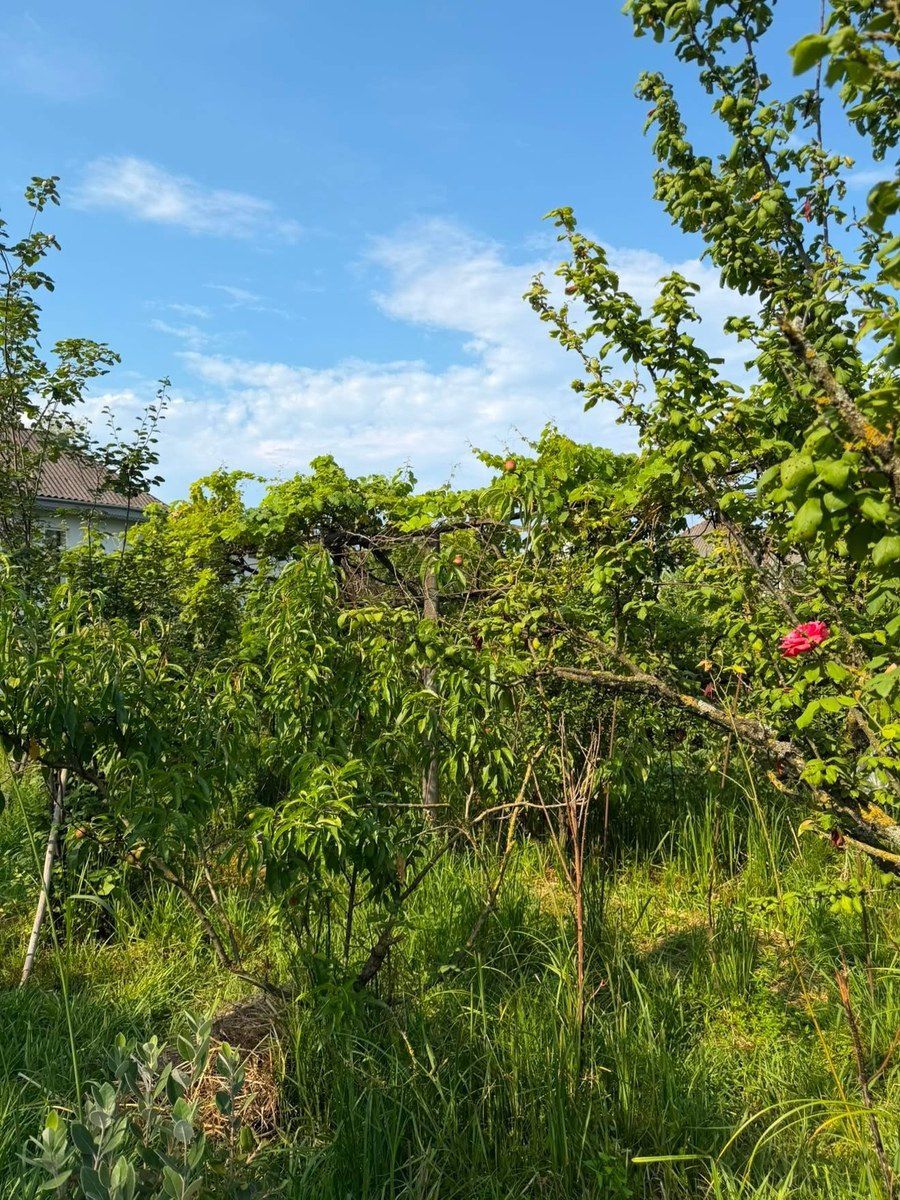 Həyət evi kirayə verilir, Astara r — Ev, villa, Astara (10)