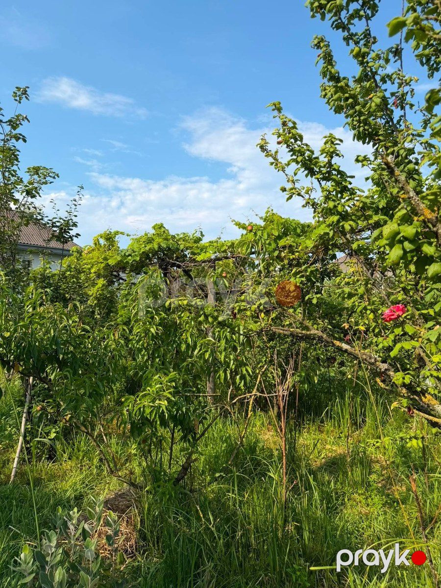 Həyət evi kirayə verilir, Astara r — Ev, villa, Astara (10)