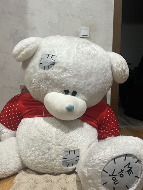1.50 boyunda peluş ayı 2 3aydır alının evde yer yoxdu deye satılır — Bakı