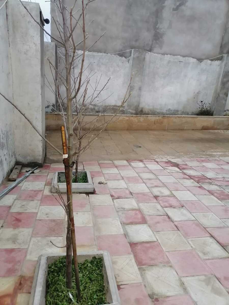 Satılır 6 otaqlı həyət evi/bağ evi 202 m² — Ev, villa, Bakı (6)