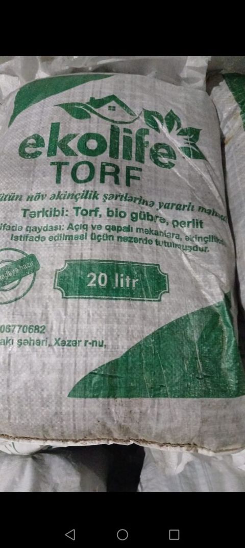 Torf — Bakı