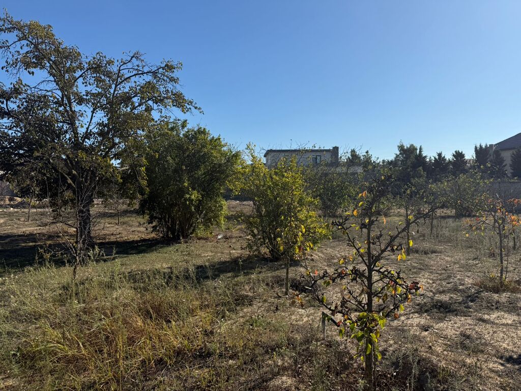 Satılır torpaq 30 sot — Torpaq, Bakı (9)
