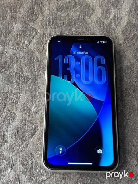IPhone 11, Ağ