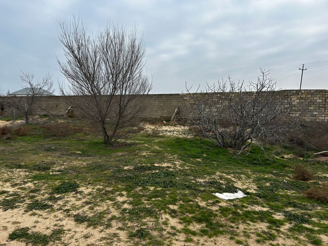 Satılır torpaq 12 sot — Torpaq, Bakı (3)