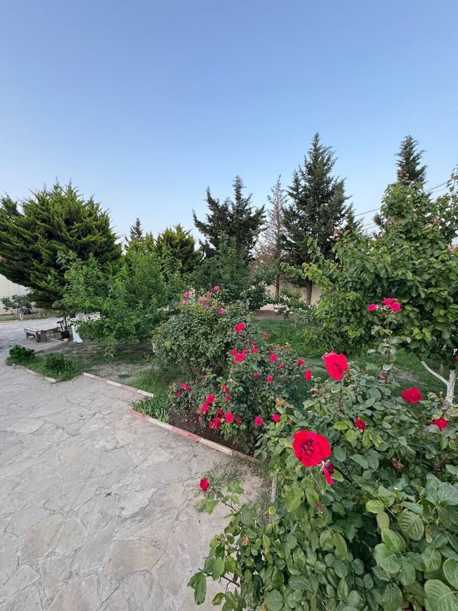 İcarəyə verilir 5 otaqlı həyət evi/bağ evi 300 m² — Ev, villa, Bakı (3)