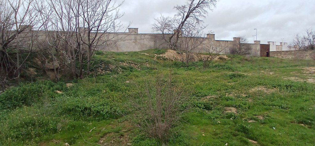 Satılır torpaq 30 sot — Torpaq, Bakı (4)