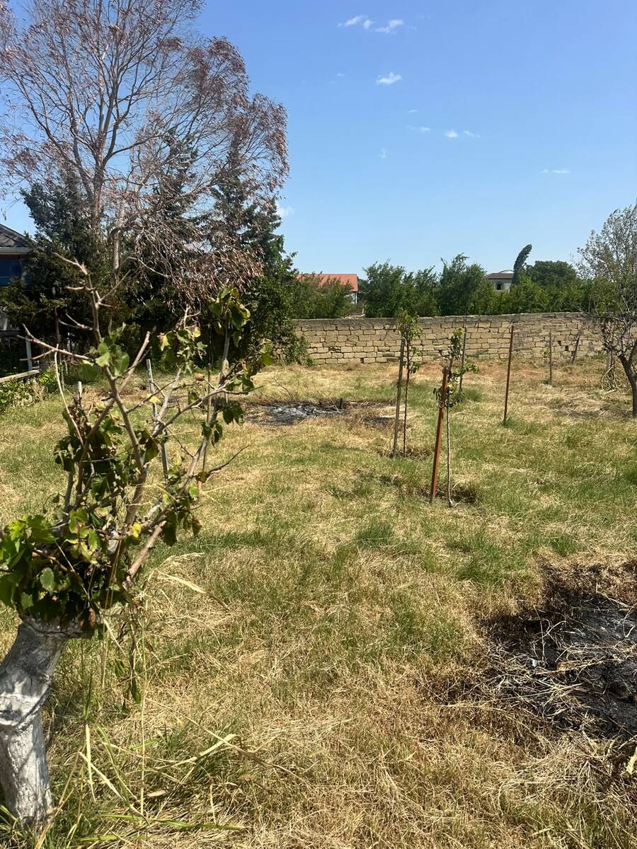 Satılır torpaq 5 sot — Torpaq, Bakı (4)
