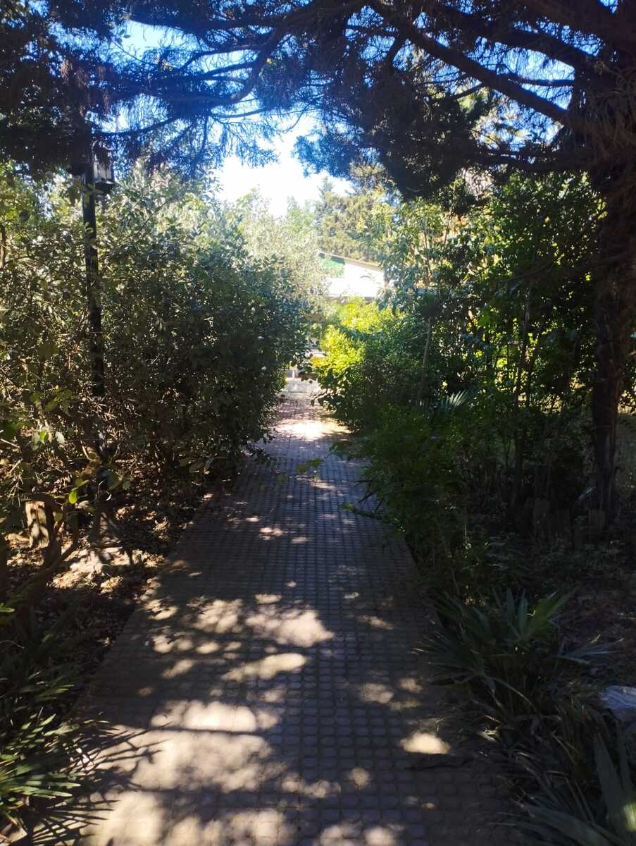 Satılır 5 otaqlı həyət evi/bağ evi 220 m² — Ev, villa, Bakı (12)