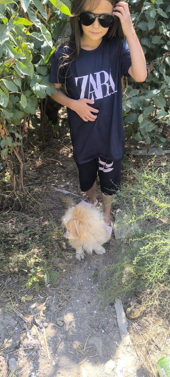 Pekines — Heyvanlar, Bakı (2)