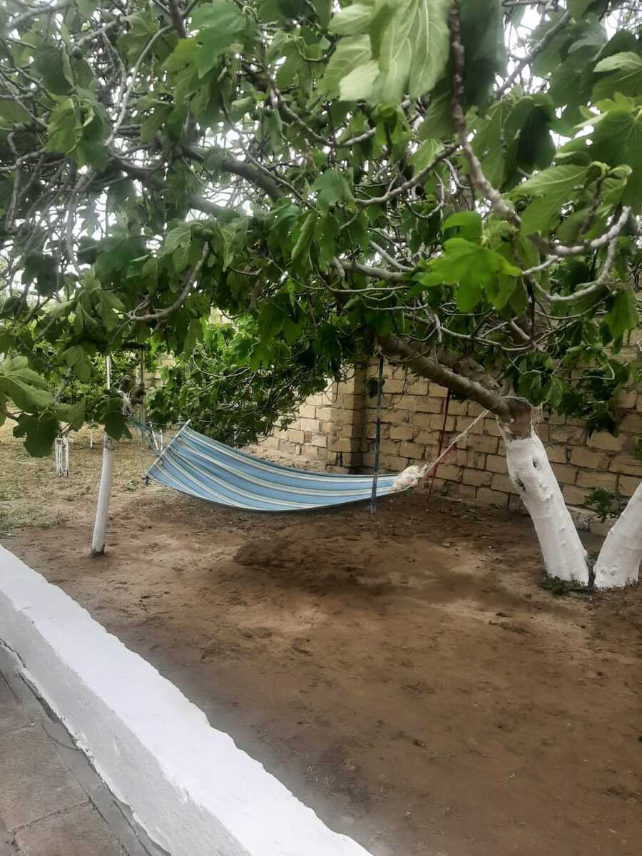 İcarəyə verilir 5 otaqlı həyət evi/bağ evi 200 m² — Ev, villa, Bakı (12)