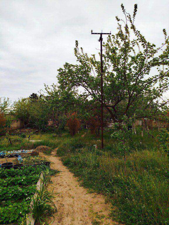 Satılır 6 otaqlı həyət evi/bağ evi 180 m² — Ev, villa, Bakı (5)