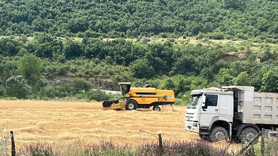 100000 sot torpaq sahəsi, Şabran r — Torpaq, Şabran (4)