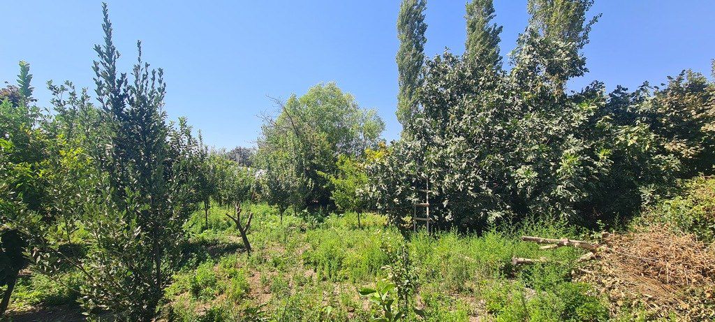 Satılır 6 otaqlı həyət evi/bağ evi 120 m² — Ev, villa, İsmayıllı (11)